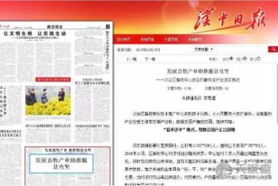 汉台区畜牧兽医技术推广中心的创新实践与成效