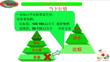 抚松县人参产业重大技术协同推广项目培训会开讲 科技赋能，助力人参产业高质量发展